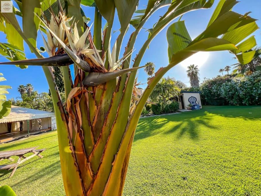 Finca Tierra Sana Estepona Eksteriør billede