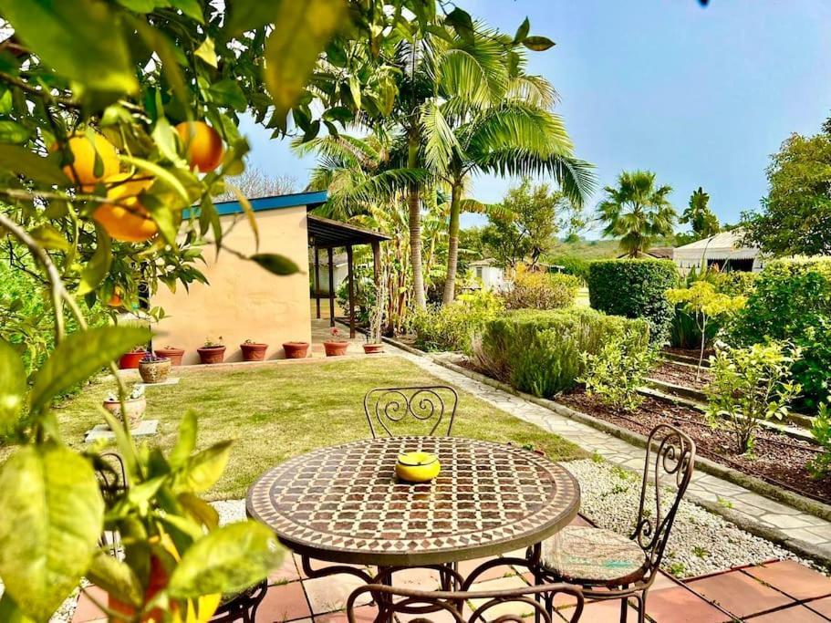 Finca Tierra Sana Estepona Eksteriør billede