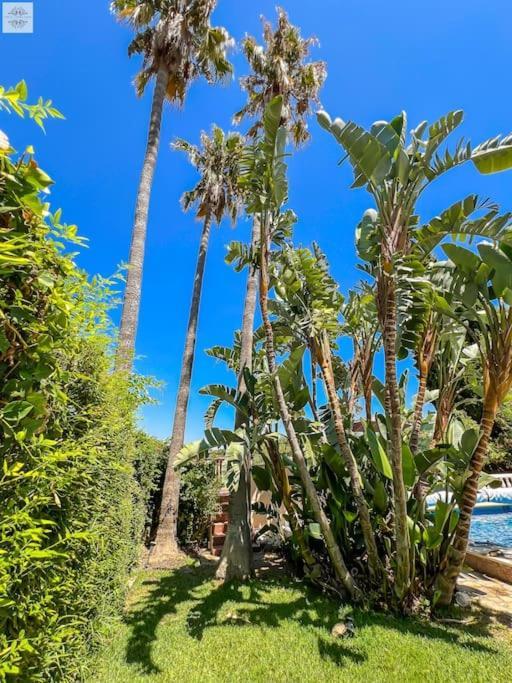 Finca Tierra Sana Estepona Eksteriør billede