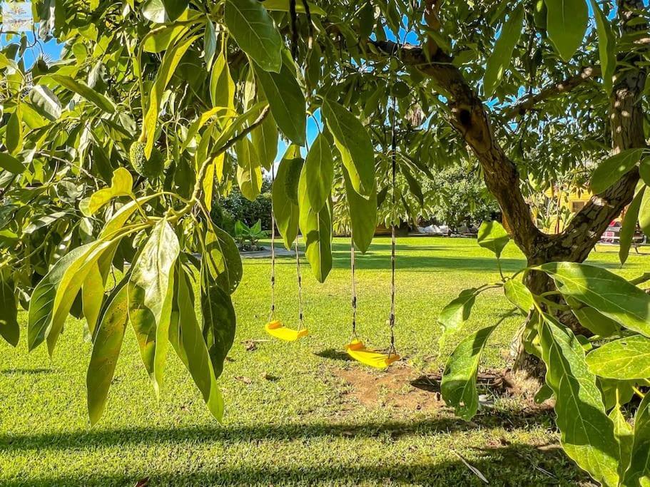 Finca Tierra Sana Estepona Eksteriør billede