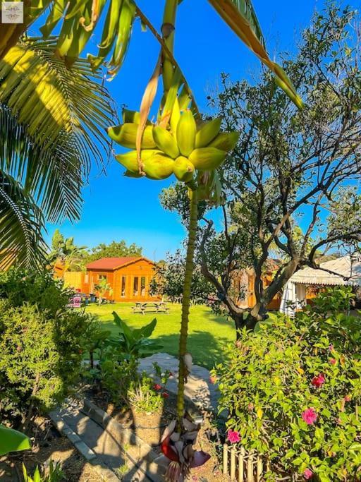 Finca Tierra Sana Estepona Eksteriør billede